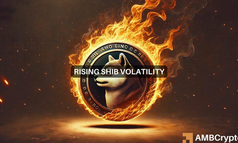 Shiba Inu’s Price Skyrockets by 3679% — Is This Just the Beginning of SHIB’s Rebound?