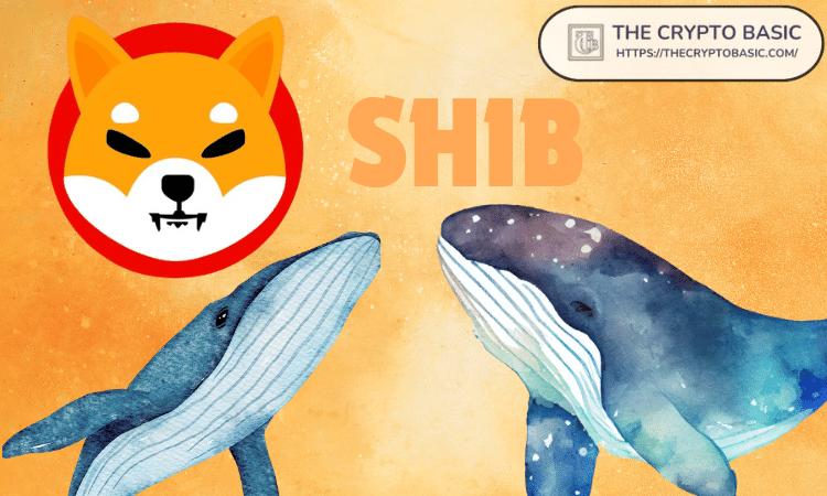 Biggest Shiba Inu Whale Causes Net Flow to Spike 7140% to 79,932,000,000 SHIB, Price Retests at <img src=