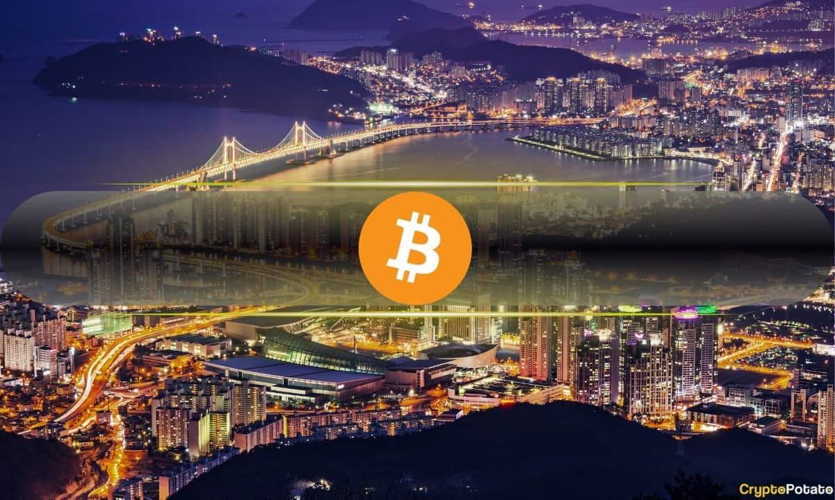 韩国缺乏战略性比特币储备:调查报告